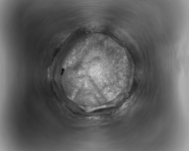 X0000093501010200711091659