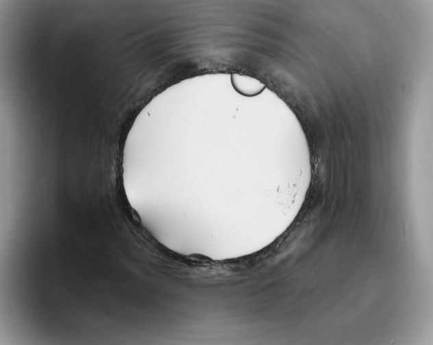 X0000093501012200711091659