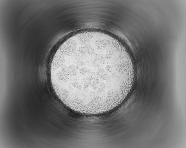 X0000093501019200711091659