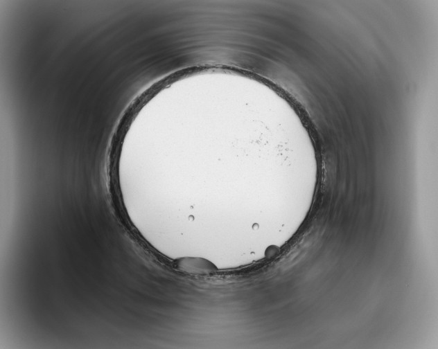 X0000093501020200711091659
