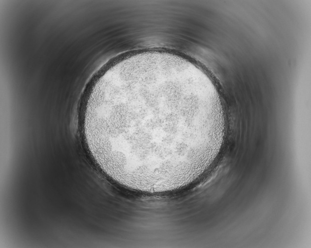X0000093501023200711091659