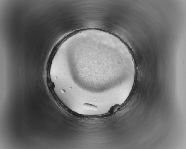 X0000093501024200711091659
