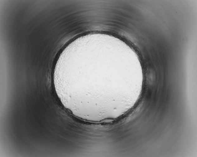X0000093501025200711091659