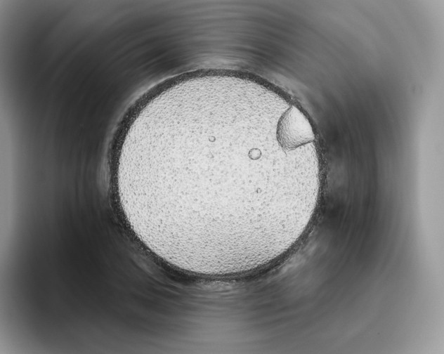 X0000093501027200711091659