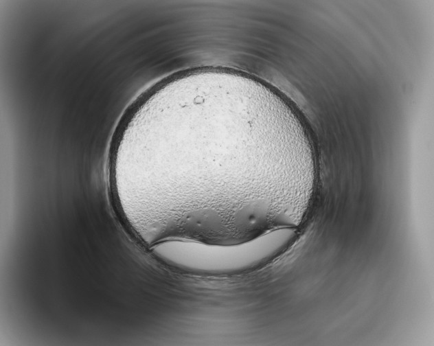 X0000093501028200711091659