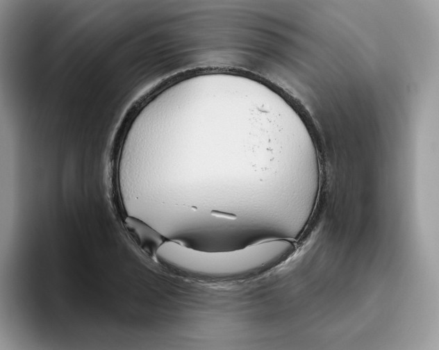 X0000093501029200711091659