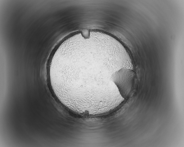 X0000093501031200711091659