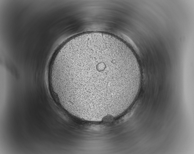 X0000093501035200711091659