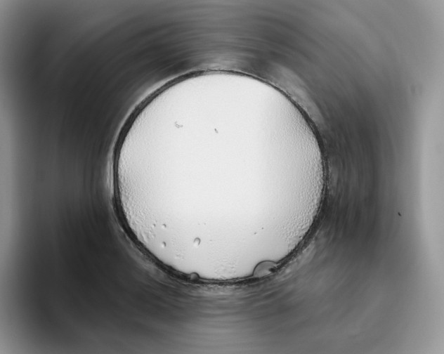 X0000093501036200711091659