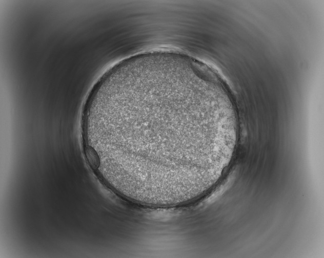 X0000093501038200711091659