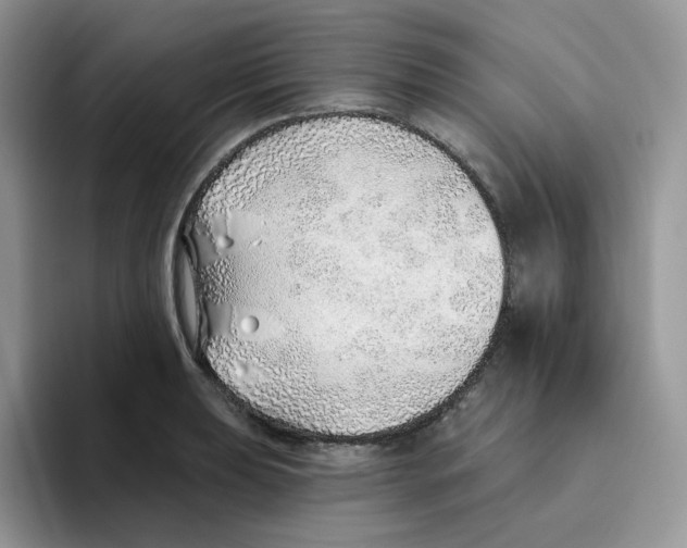 X0000093501039200711091659
