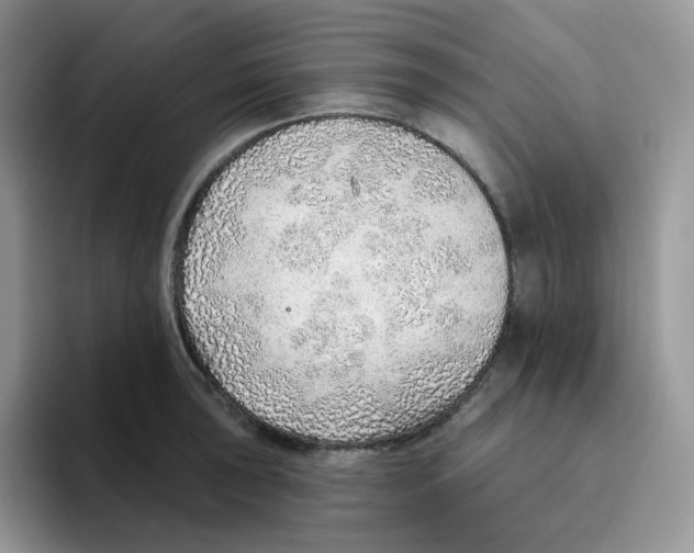 X0000093501043200711091659