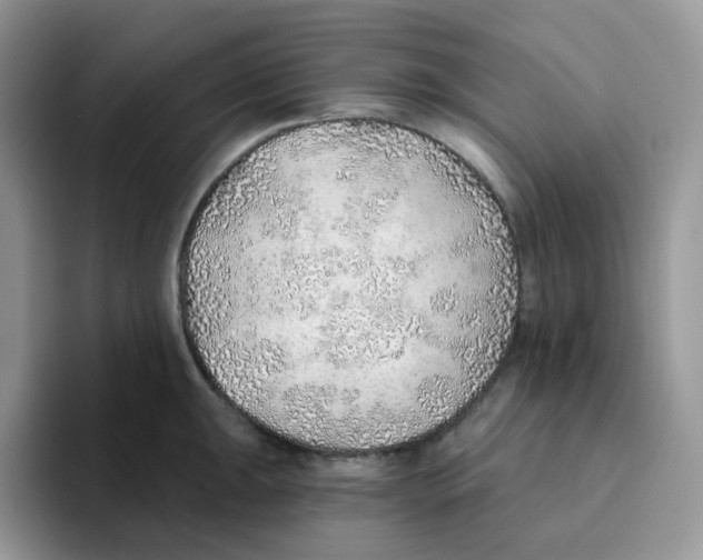 X0000093501047200711091659