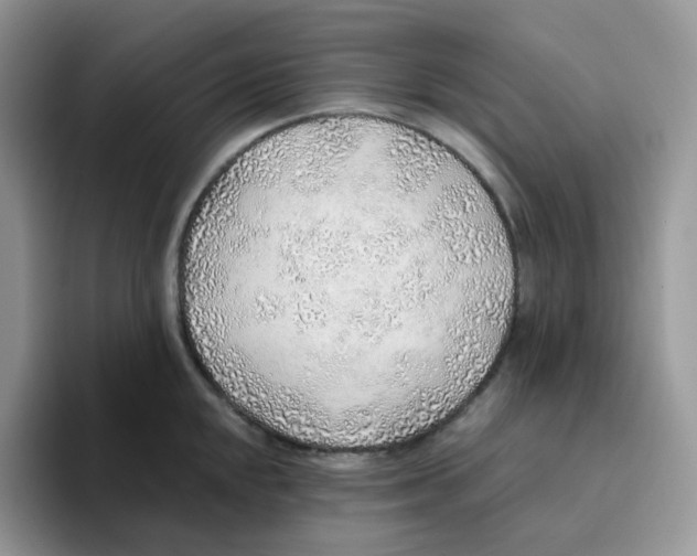 X0000093501048200711091659