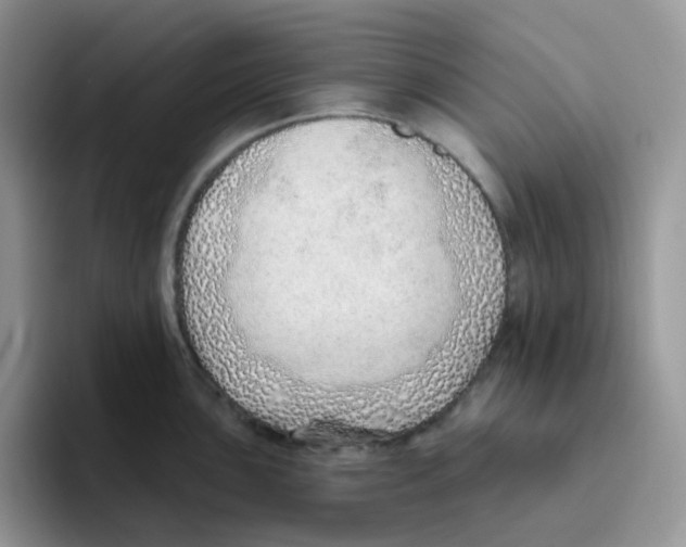 X0000093501051200711091659