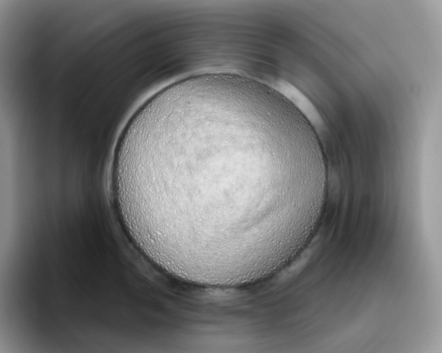 X0000093501052200711091659