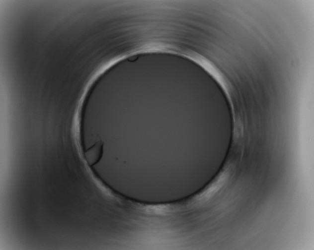 X0000093501053200711091659