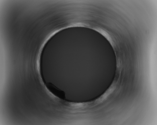 X0000093501054200711091659