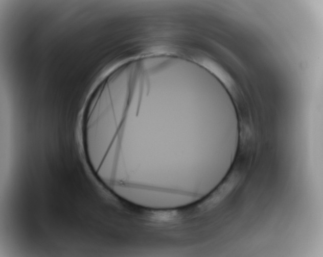 X0000093501055200711091659