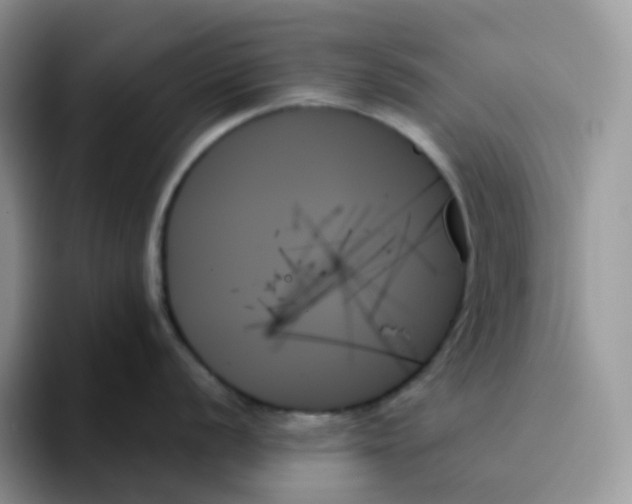 X0000093501056200711091659
