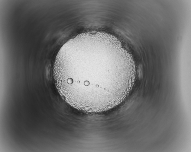 X0000093501059200711091659