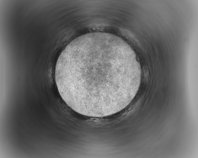 X0000093501060200711091659