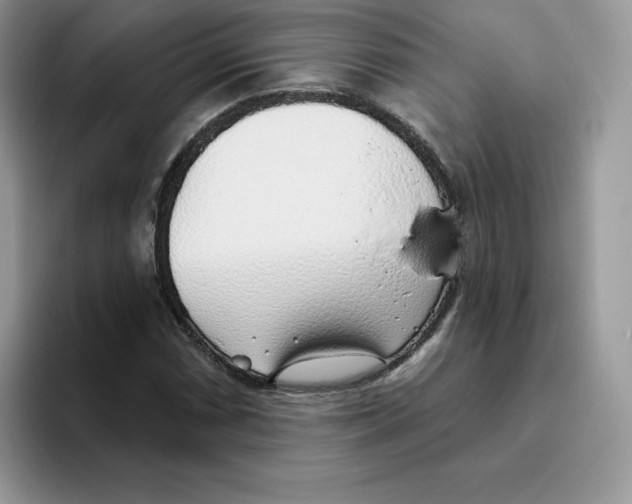 X0000093501066200711091659