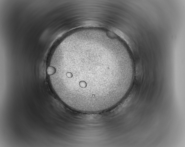 X0000093501067200711091659
