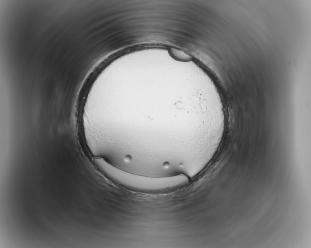 X0000093501068200711091659