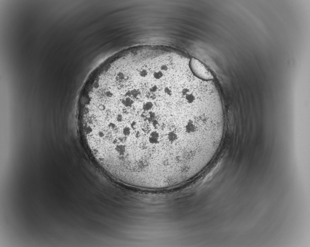 X0000093501071200711091659