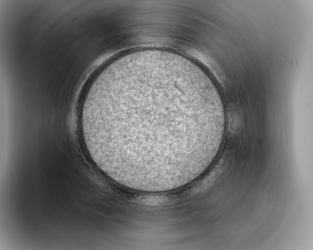 X0000093501074200711091659