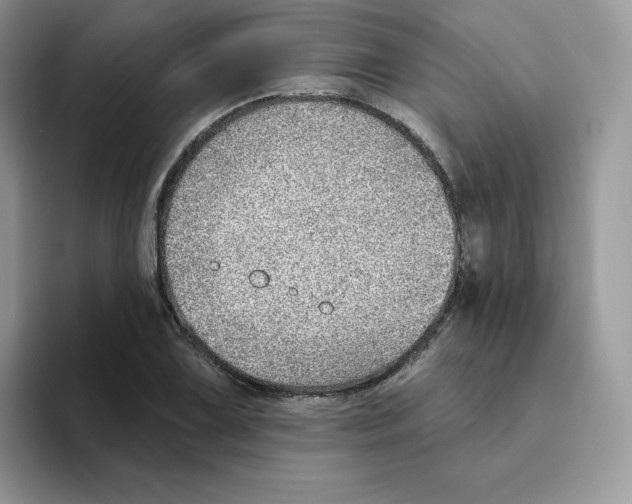 X0000093501075200711091659
