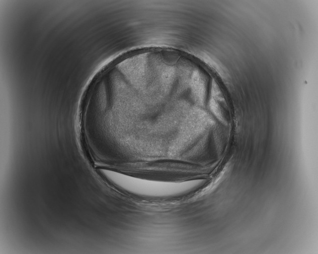 X0000093501077200711091658