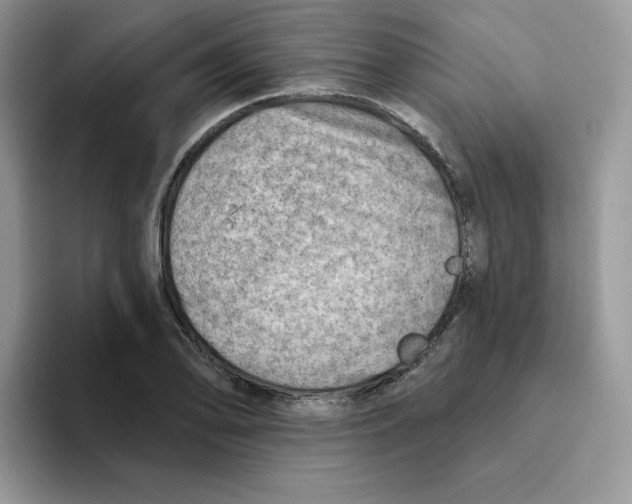 X0000093501078200711091658