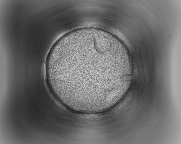 X0000093501079200711091658
