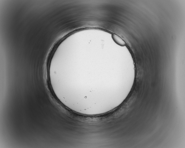 X0000093501080200711091658