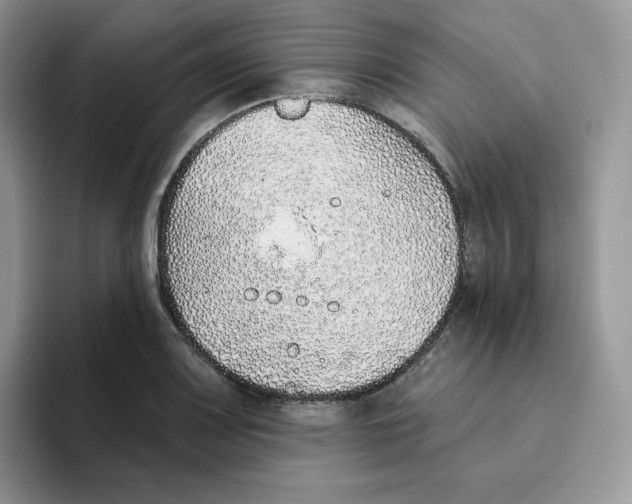 X0000093501083200711091658