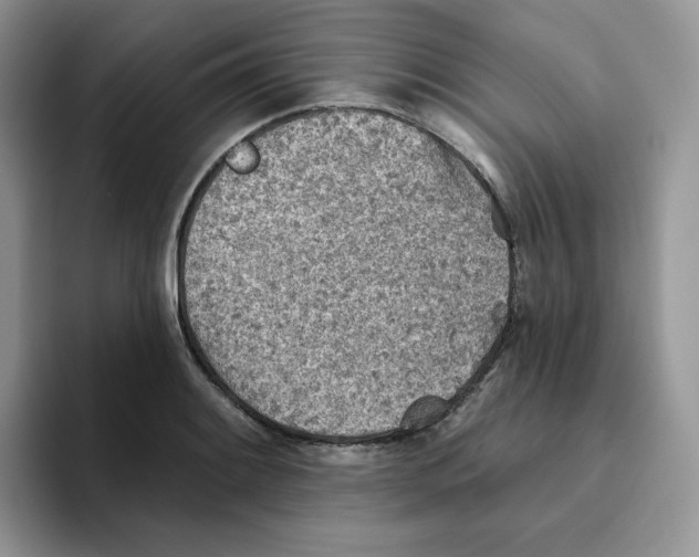 X0000093501084200711091658