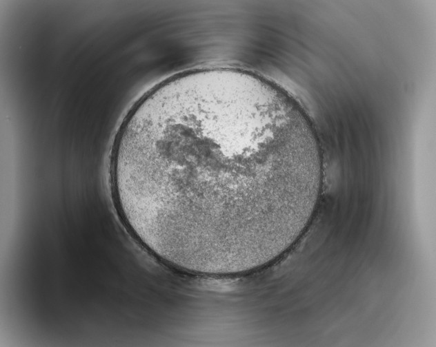 X0000093501086200711091658