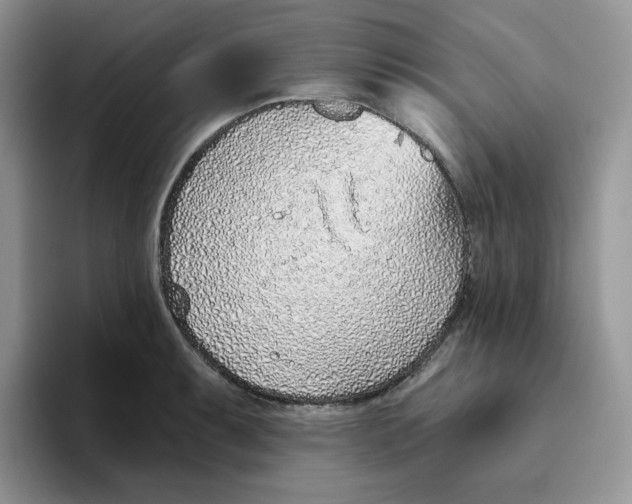 X0000093501087200711091658
