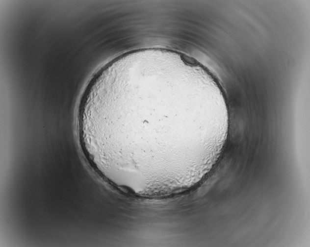 X0000093501088200711091658