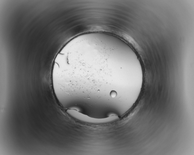 X0000093501089200711091658