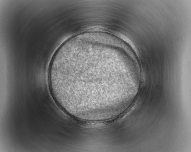 X0000093501090200711091658