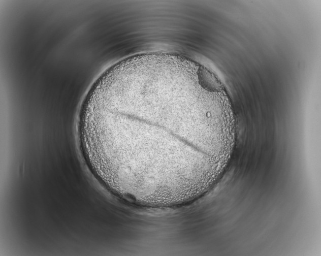 X0000093501091200711091658