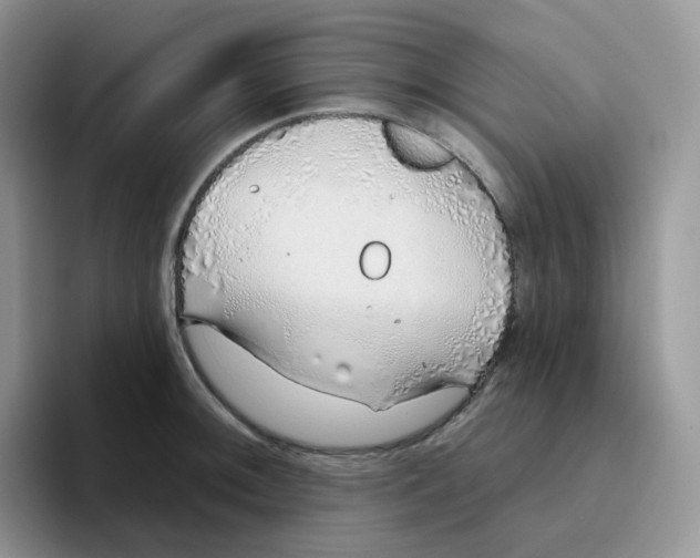 X0000093501092200711091658