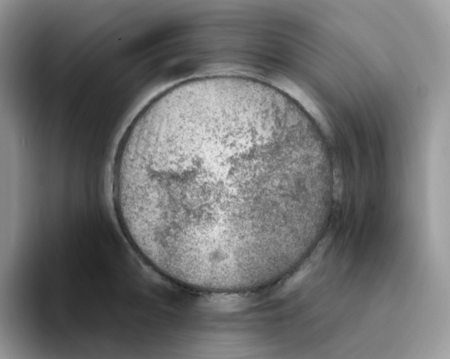 X0000093501094200711091658