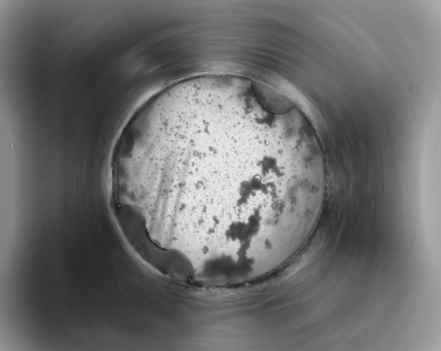 X0000093501095200711091658