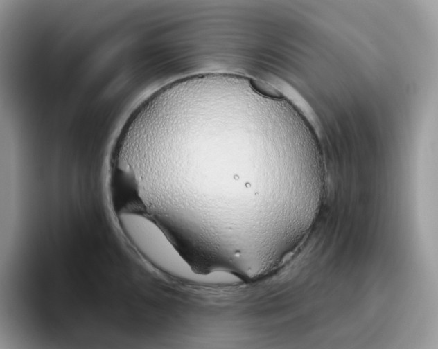 X0000093501096200711091658
