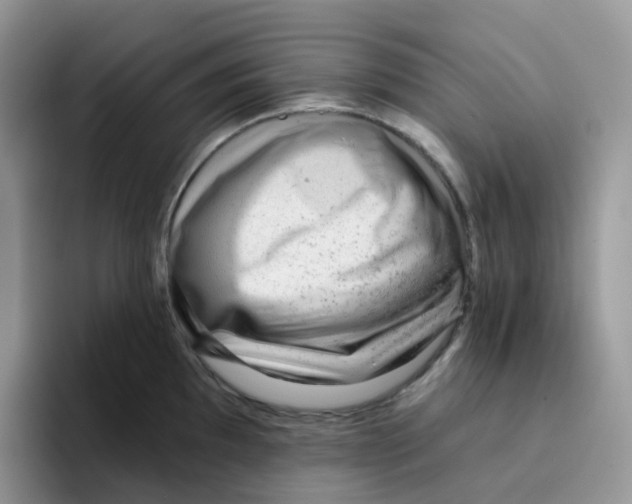 X0000093501097200711091658
