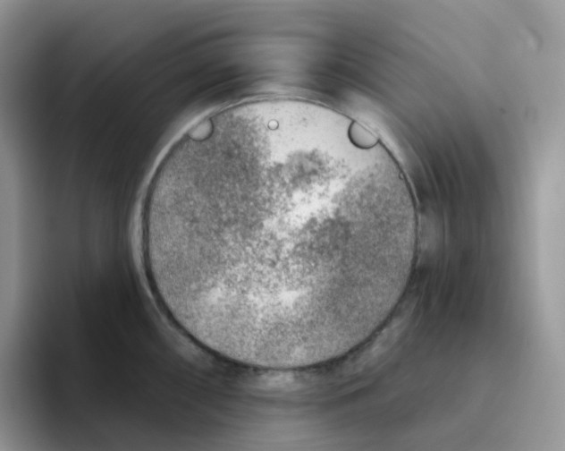 X0000093501098200711091658